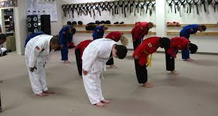 Image result for southern academy choi kwang do