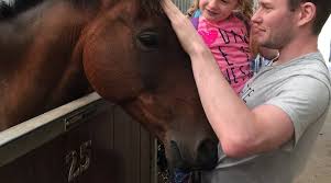 Image result for Blackpool & Fylde Horse Club