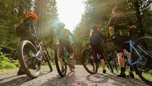 Image result for Epping Forest Mountain Bike Club