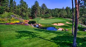 Image result for Castle Point Bowling Club