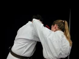 Image result for Redhill Karate Association