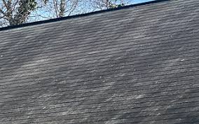 Attēlu rezultāti vaicājumam “Gloeocapsa rupestris”