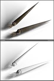 Attēlu rezultāti vaicājumam “Endoceras”