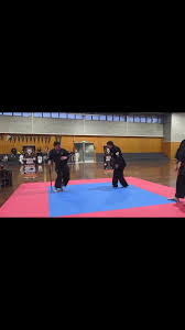 Image result for Levern Tora-Kai Karate Club