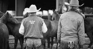 Image result for Kings Ranch Riding School/Club