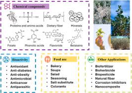 Attēlu rezultāti vaicājumam “Atriplex littoralis fruit”