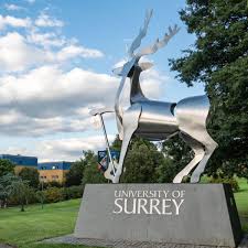 Image result for University Of Surrey