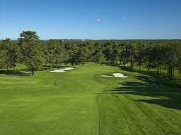 Image result for Hampton Hill Cricket Club