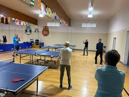 Image result for B N C A Table Tennis Club