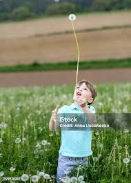 Image result for Greenmeadow Badminton Club