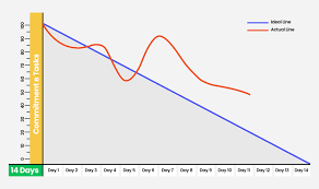 Image result for burnup chart