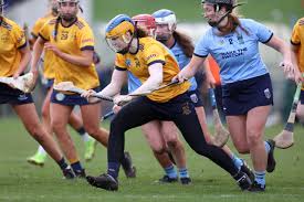 Image result for Green Isle Camogie Club - Players Wanted!