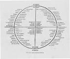 Four Basic Temperaments