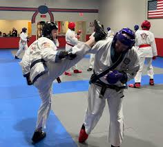 Image result for Synergy Tae Kwon Do