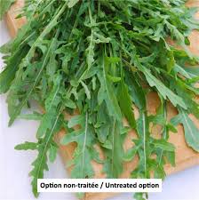 Image result for Diplotaxis tenuifolia