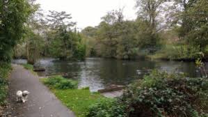 Image result for Wakefield Angling Club