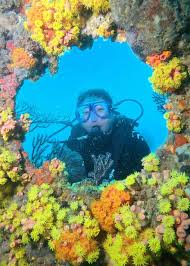Image result for Maverick Divers