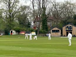 Image result for Highfield Cricket Club