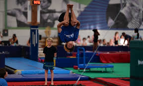 Image result for Fish trampoline and gymnastics club