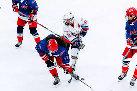 Image result for Frome Ladies Hockey Club