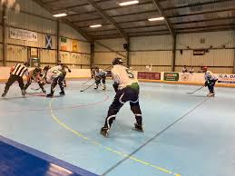 Image result for Dundee Ducks inline roller hockey club