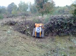 Image result for Imagini tehron