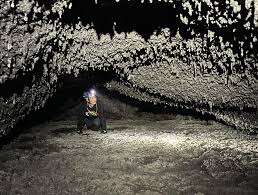 Attēlu rezultāti vaicājumam “Tubifera magna young”