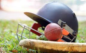 Image result for Timsbury Cricket Club