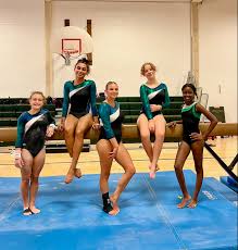 Image result for Southampton Gymnastics Club