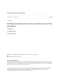 Attēlu rezultāti vaicājumam “Symphytocarpus impexus sessile”