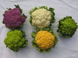 Image result for Blumenkohl