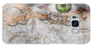 Image result for Lewandowsky-Lutz