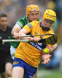 Image result for Clarehurlers
