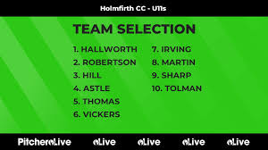 Image result for Holmfirth Cc