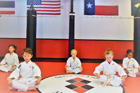 Image result for IXL Martial Arts