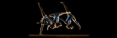 Image result for Heathrow Gymnastics Club