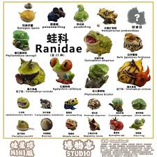 Attēlu rezultāti vaicājumam “Ranidae”