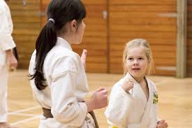 Image result for Sudbury Shotokan Karate Club kugb