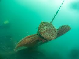 Image result for Peninsula Sub Aqua