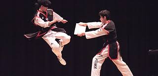 Image result for North Wilts Taekwondo