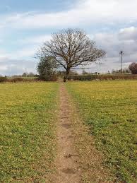 Image result for Gerrards Cross Cc