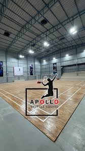 Image result for Apollo Badminton Club