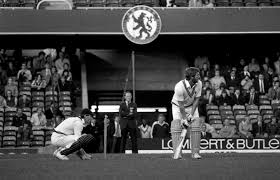 Image result for Stamford Bridge Cricket Club