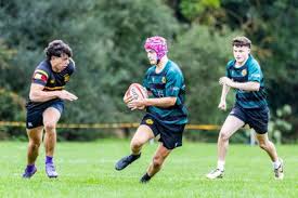 Image result for Bingham Rugby Union Football Club