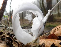 Attēlu rezultāti vaicājumam “Frost Flowers”