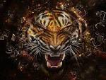 Angry Tiger - Tigers Wallpaper (31737545) - Fanpop fanclubs