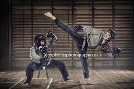Image result for Shaolin Nam Pai Chuan Kung Fu - Manchester Martial Arts Centre