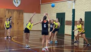 Image result for Capricorn Netball Club