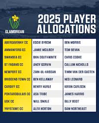 Image result for Ammanford Cricket Club