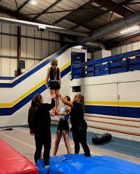Image result for Avondale Gymnastics Club